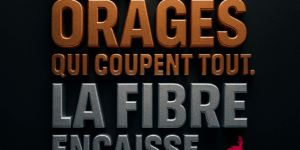 FIN DU CUIVRE